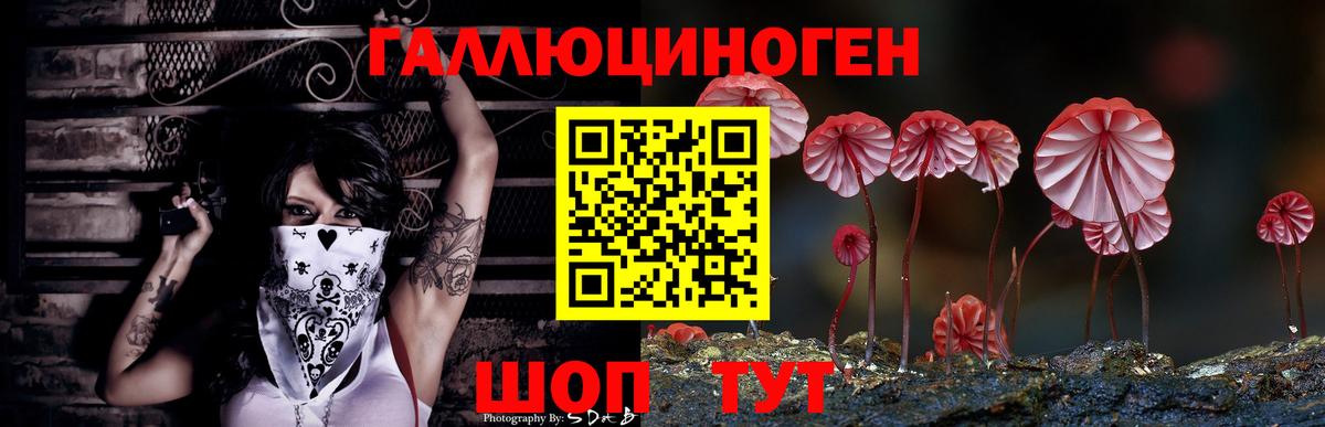 МЕФ Владивосток